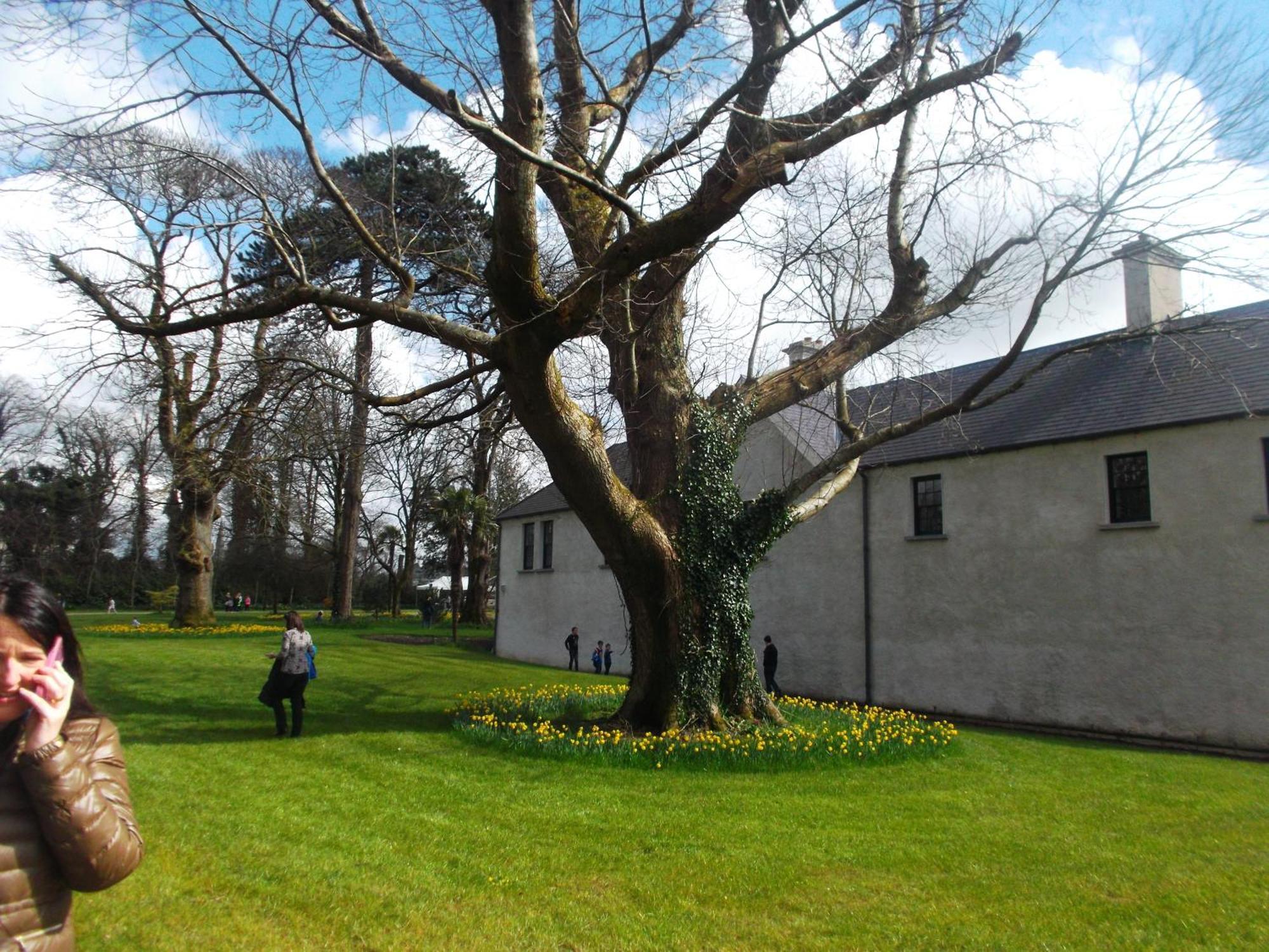 Kerry Holiday Homes At The Killarney Holiday Village Exteriör bild
